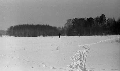 Collective action Observing the Waterfall. Photo - 18