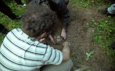 Collective action The Sack. Photo - 53