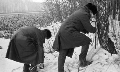 Акция КД За КД — 2. Фотография - 8