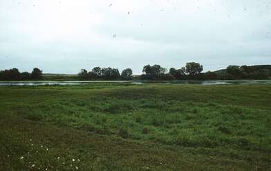 Collective action Second Picture. Photo - 6