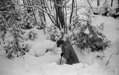 Collective action 625-520. Photo - 84