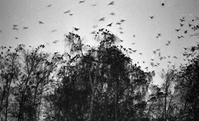 Igor Makarevich. Artwork From the &quot;House of Lost Friends&quot; series