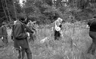 Collective action The Sack. Photo - 75