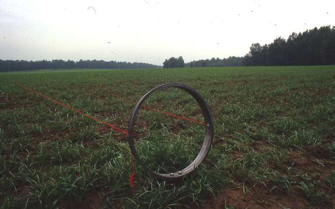 Moving of the Audience, June 11, 1989