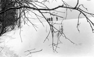 Collective action Russian World. Photo - 37