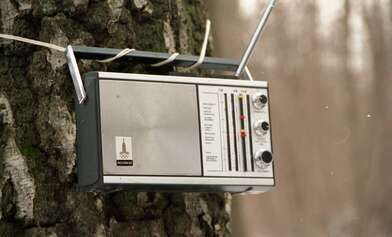 Collective action 83. Photo - 50