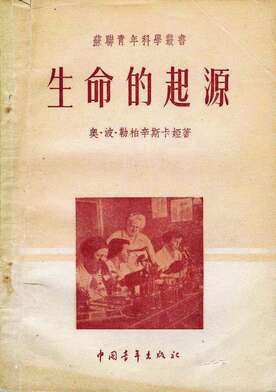 «Лаборатория великого делания». Фотография - 3