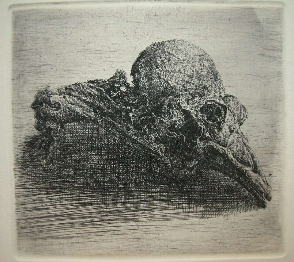 Igor Makarevich. Artwork Bird&#039;s Head