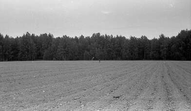 Акция КД Выстрел. Фотография - 61