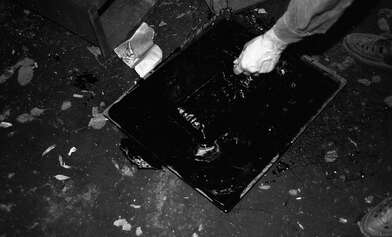 Collective action Library. Photo - 77