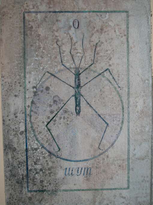 Елена Елагина. Карты Таро