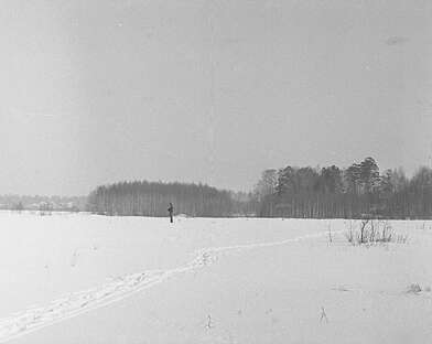 Collective action Observing the Waterfall. Photo - 28