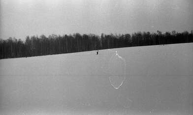 Collective action Description of Action. Photo - 7