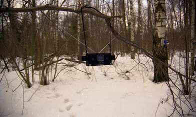 Collective action 83. Photo - 13