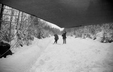 Collective action 625-520. Photo - 94