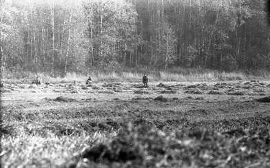 Акция КД М. Фотография - 75