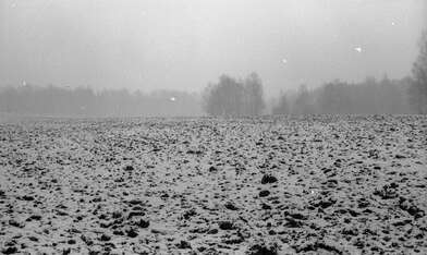 Акция КД Ворот. Фотография - 83