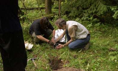 Collective action Library. Photo - 30