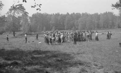 Collective action Division. Photo - 15