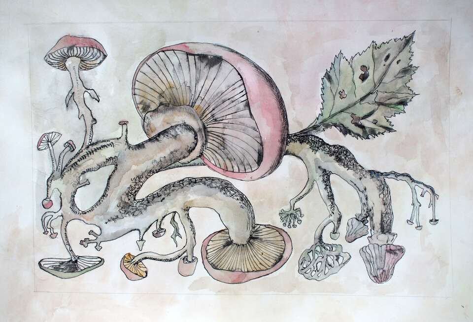 Elena Elagina. Artwork Mushrooms