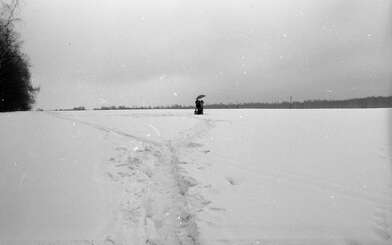 Collective action Russian World. Photo - 48