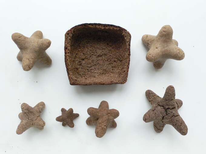 Елена Елагина. Хлебные объекты