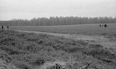 Акция КД Произведение изобразительного искусства — картина. Фотография - 30