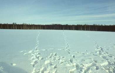 Акция КД 10 Появлений. Фотография - 47