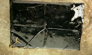 Collective action Library. Photo - 3