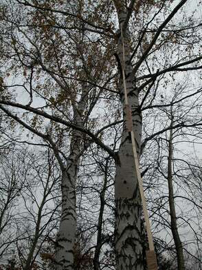 Акция КД Деревни. Фотография - 35