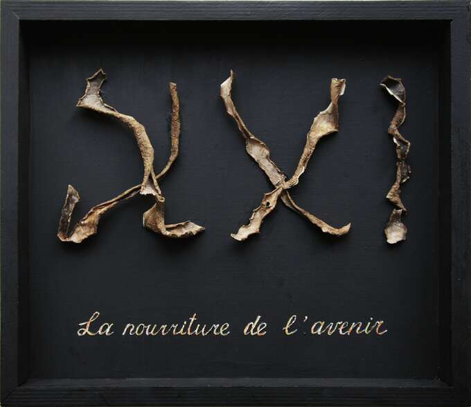 Елена Елагина. Пища будущего