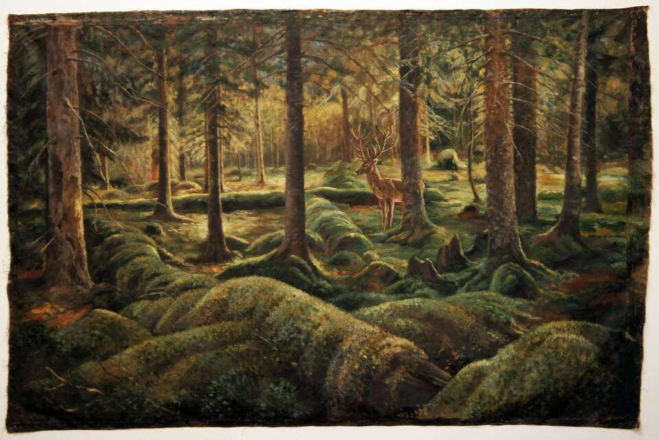 Igor Makarevich. Artwork Forest Panorama