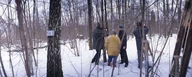 Collective action 83. Photo - 76