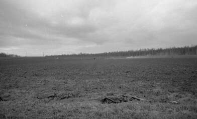 Collective action Image of a Rhombus. Photo - 9