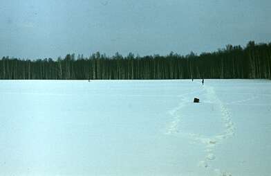 Collective action Description of Action. Photo - 26