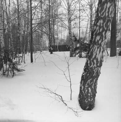 Collective action To Panitkov. Photo - 183