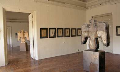 Life in the Snow. Photo - 2