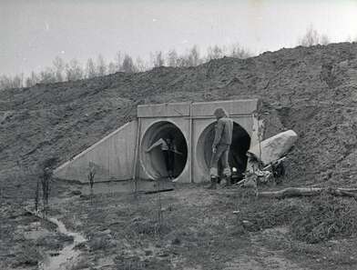 Акция КД Встреча. Фотография - 39