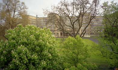 Collective action Adventures of the Blind (The Sack 2). Photo - 31