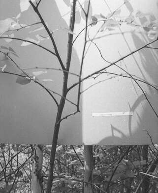 Collective action To V. Nekrasov. Photo - 26