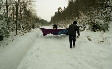 Collective action 625-520. Photo - 68