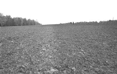 Collective action Place of Action. Photo - 48