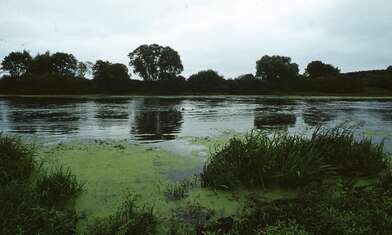 Collective action Second Picture. Photo - 10