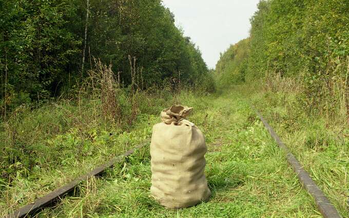 The Sack, September 15, 2001