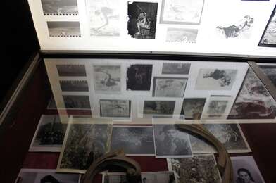 Homo Lignum. Photo - 12