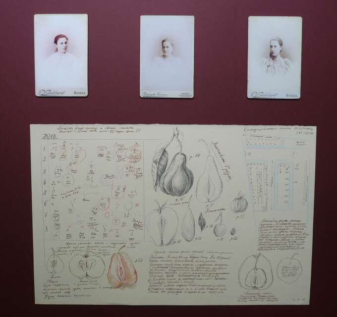 Игорь Макаревич. Девушки Мичурина