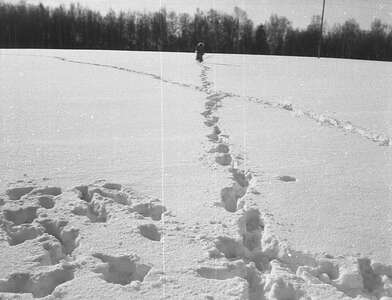 Акция КД 10 Появлений. Фотография - 135