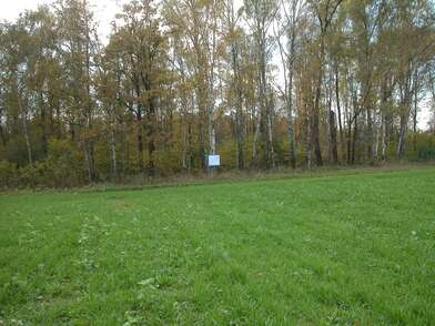 Акция КД Стенд-газета. Фотография - 12