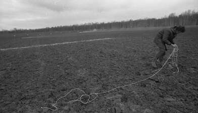 Collective action Image of a Rhombus. Photo - 18