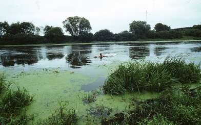 Collective action Second Picture. Photo - 11